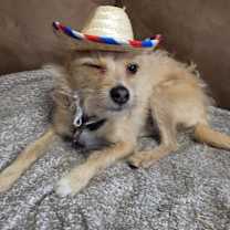 Thumbnail photo of Thumper  #3