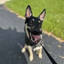 Thumbnail photo of Xena #4