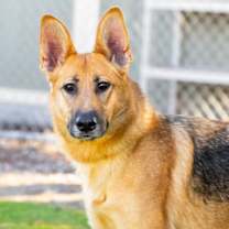 Thumbnail photo of *ROXIE #1