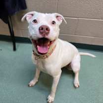 Thumbnail photo of Khalesi #1