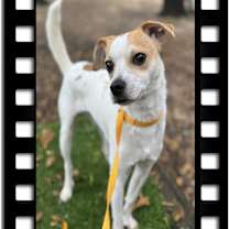 Thumbnail photo of Mark-O #1