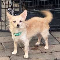 Thumbnail photo of Goober #3