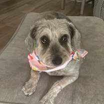 Thumbnail photo of Mana #4