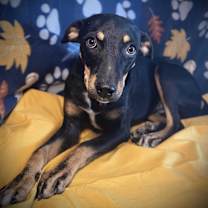 Thumbnail photo of Kaitlyn #1