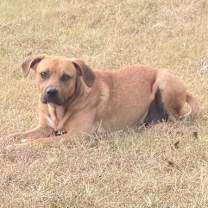 Thumbnail photo of Lukas #1