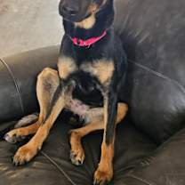 Thumbnail photo of Athena #2