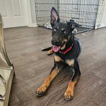 Thumbnail photo of Athena #3