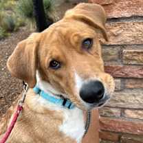 Thumbnail photo of Hiro #3