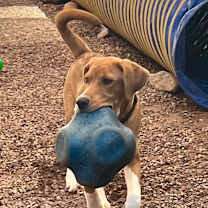 Thumbnail photo of Hiro #4