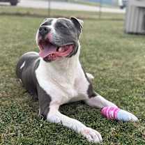 Thumbnail photo of Thanos #4