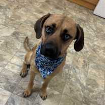 Thumbnail photo of Dan #1