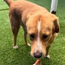 Thumbnail photo of Reggie #4