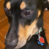 Thumbnail photo of Franklin #3