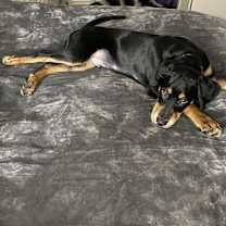 Thumbnail photo of Franklin #4