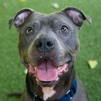 Thumbnail photo of Estella #3