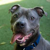 Thumbnail photo of Estella #4