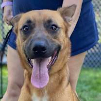 Thumbnail photo of Akida #1