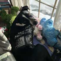 Thumbnail photo of Jedi #4