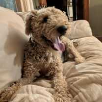 Thumbnail photo of Clyde #2