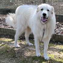 Thumbnail photo of Doc #1