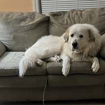 Thumbnail photo of Doc #3