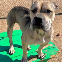 Thumbnail photo of JULIE #1