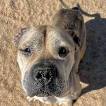 Thumbnail photo of JULIE #3