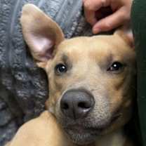 Thumbnail photo of Maverick #1