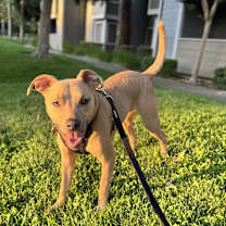 Thumbnail photo of Maverick #4