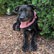 Thumbnail photo of Sleepy #2