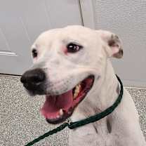 Thumbnail photo of Deannnna #2