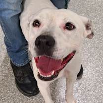 Thumbnail photo of Deannnna #3