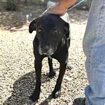 Thumbnail photo of ROOTIE #1