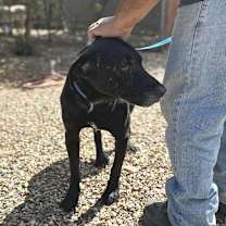 Thumbnail photo of ROOTIE #3