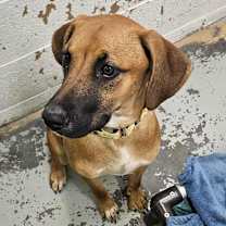 Thumbnail photo of Candy  #2