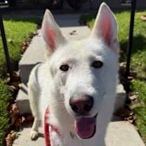 Thumbnail photo of BOISE #1