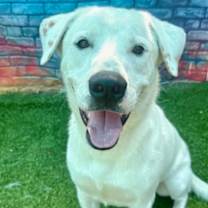 Thumbnail photo of Axel #1