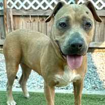 Thumbnail photo of Nyla #2