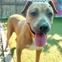 Thumbnail photo of Nyla #3