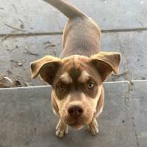 Thumbnail photo of Bell #1