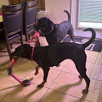 Thumbnail photo of Ada #2