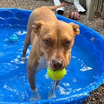 Thumbnail photo of Roz 2094 #3