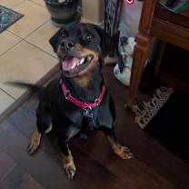 Thumbnail photo of Ada #3