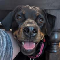 Thumbnail photo of Ada #4