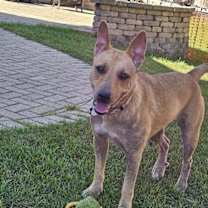 Thumbnail photo of Ginny #1