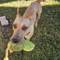 Thumbnail photo of Ginny #2