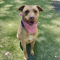 Thumbnail photo of Sky #4