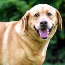 Thumbnail photo of Fiona #4