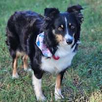 Thumbnail photo of Myrtle #1