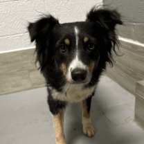 Thumbnail photo of Myrtle #2